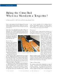 Riding the Citrus Trail: When Is a Mandarin a Tangerine?