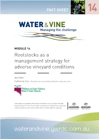 Rootstocks As a Management Strategy for Adverse Vineyard Conditions