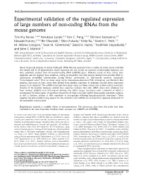 Experimental Validation of the Regulated Expression of Large Numbers of Non-Coding Rnas from the Mouse Genome