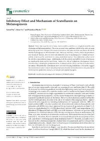 Inhibitory Effect and Mechanism of Scutellarein on Melanogenesis