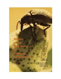 Boll Weevil.Indd