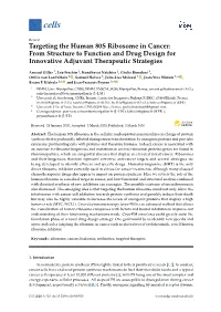 Targeting the Human 80S Ribosome in Cancer: from Structure to Function and Drug Design for Innovative Adjuvant Therapeutic Strategies
