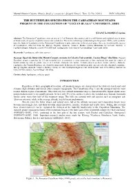 The Butterflies Species from the Carpathian Mountains Present in the Collection of "Lucian Blaga" University, Sibiu