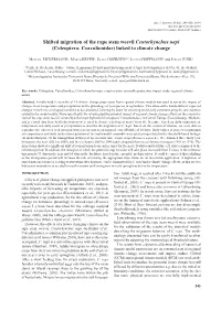 Coleoptera: Curculionidae) Linked to Climate Change
