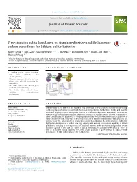 Free-Standing Sulfur Host Based on Titanium-Dioxide-Modified Porous