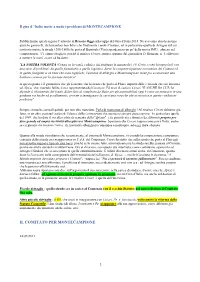Il Comitato Per Montecampione