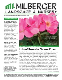 Lots of Roses to Choose from (Especially Black Widows)
