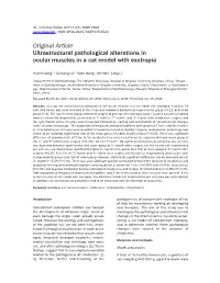 Original Article Ultrastructural Pathological Alterations in Ocular Muscles in a Cat Model with Exotropia