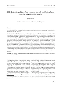PCR Detection of Pseudoperonospora Humuli and Podosphaera Macularis in Humulus Lupulus
