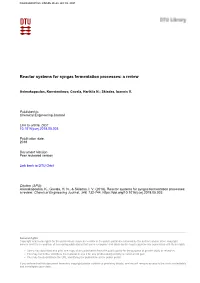 Reactor Systems for Syngas Fermentation Processes: a Review