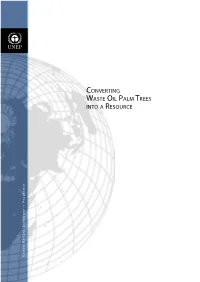 Converting Waste Oil Palm Trees Into a Resource R O G R a M M E P N V I R O N M E N T E