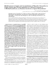 Modifications in Lignin and Accumulation of Phenolic