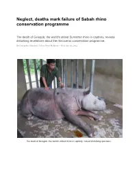 Neglect, Deaths Mark Failure of Sabah Rhino Conservation Programme