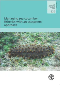 Sea Cucumber.Pdf