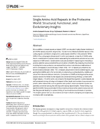 Single Amino Acid Repeats in the Proteome World: Structural, Functional, and Evolutionary Insights