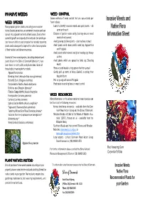 Native Flora States Australian Natives, Are Extremely Invasive and Can Serve and Report Spread Into Adjacent Native Bushland Areas