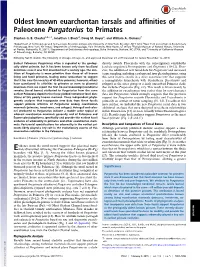 Oldest Known Euarchontan Tarsals and Affinities of Paleocene Purgatorius to Primates