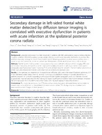 Secondary Damage in Left-Sided Frontal White Matter Detected By