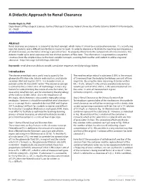 A Didactic Approach to Renal Clearance