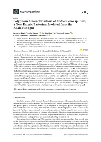 Polyphasic Characterisation of Cedecea Colo Sp. Nov., a New Enteric Bacterium Isolated from the Koala Hindgut