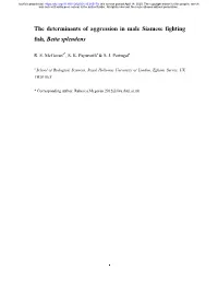 The Determinants of Aggression in Male Siamese Fighting Fish, Betta Splendens