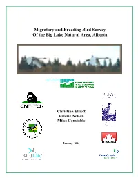 BLESS Big Lake Migratory and Breeding Bird Survey, January 2004