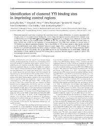 Identification of Clustered YY1 Binding Sites in Imprinting Control Regions