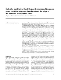 Molecular Insights Into the Phylogenetic Structure of the Spider