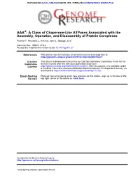 Assembly, Operation, and Disassembly of Protein Complexes