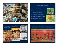Beneficial Insects Presentation Slides