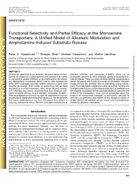 Functional Selectivity and Partial Efficacy at the Monoamine Transporters: a Unified Model of Allosteric Modulation and Amphetamine-Induced Substrate Release