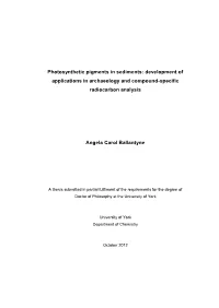 Photosynthetic Pigments in Sediments: Development of Applications in Archaeology and Compound-Specific Radiocarbon Analysis