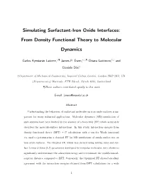 Simulating Surfactant-Iron Oxide Interfaces: from Density Functional Theory to Molecular Dynamics