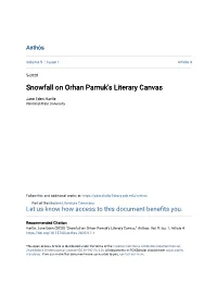 Snowfall on Orhan Pamuk's Literary Canvas