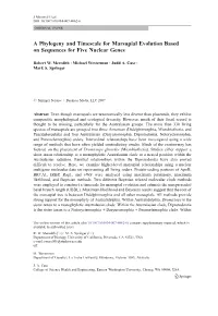 A Phylogeny and Timescale for Marsupial Evolution Based on Sequences for Five Nuclear Genes