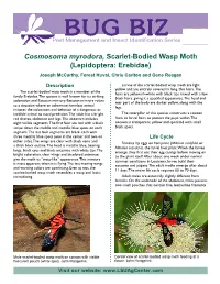 Cosmosoma Myrodora, Scarlet-Bodied Wasp Moth (Lepidoptera: Erebidae) Joseph Mccarthy, Forest Huval, Chris Carlton and Gene Reagan