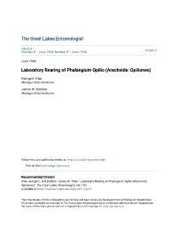 Laboratory Rearing of Phalangium Opilio (Arachnida: Opiliones)