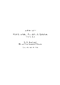 Lecture Notes Wave Equations of Relativistic Quantum Mechanics
