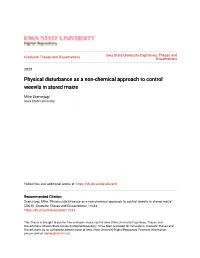 Physical Disturbance As a Non-Chemical Approach to Control Weevils in Stored Maize