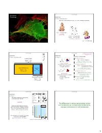 The Differences in Solute Concentration Across Cell Membranes Are Created and Maintained by Transport Mechanisms in Cell Membra