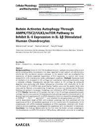 Butein Activates Autophagy Through AMPK/TSC2/ULK1/Mtor Pathway to Inhibit IL-6 Expression in IL-1Β Stimulated Human Chondrocytes