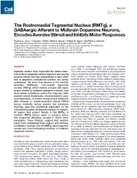 (Rmtg),&Nbsp;A Gabaergic Afferent to Midbrain Dopamine Neurons