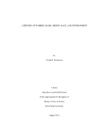 A History of Warren, Idaho: Mining, Race, and Environment