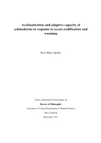Acclimatisation and Adaptive Capacity of Echinoderms in Response to Ocean Acidification and Warming