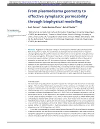 From Plasmodesma Geometry to Effective Symplastic Permeability