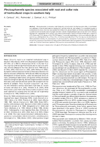 &lt;I&gt;Plectosphaerella&lt;/I&gt;
