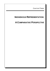 Indigenous Representation: a Comparative Perspective