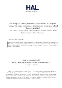 Petrological and Experimental Constraints on Magma Storage For