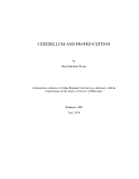 Cerebellum and Proprioception