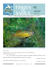 Malanda Gold: the Tale of a Unique Rainbowfish from the Atherton Tablelands, Now on the Verge of Extinction Peter J